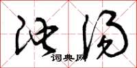 曾庆福池汤草书怎么写