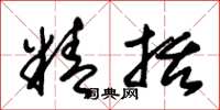 朱锡荣精括草书怎么写