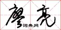 朱锡荣廖亮草书怎么写
