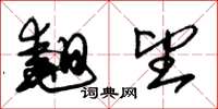朱锡荣翘望草书怎么写