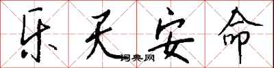 钱沛云乐天安命行书怎么写